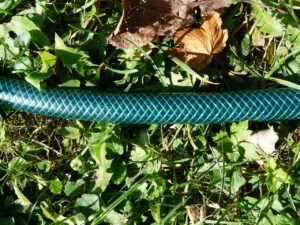 Irrigazione goccia a goccia fai da te: il sistema da 8 euro che salva le piante in estate