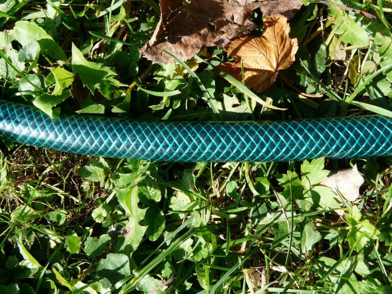 Irrigazione goccia a goccia fai da te: il sistema da 8 euro che salva le piante in estate