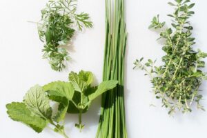 Piante aromatiche in casa: come coltivarle tutto l'anno e potenziare i tuoi piatti con sapori freschi e genuini